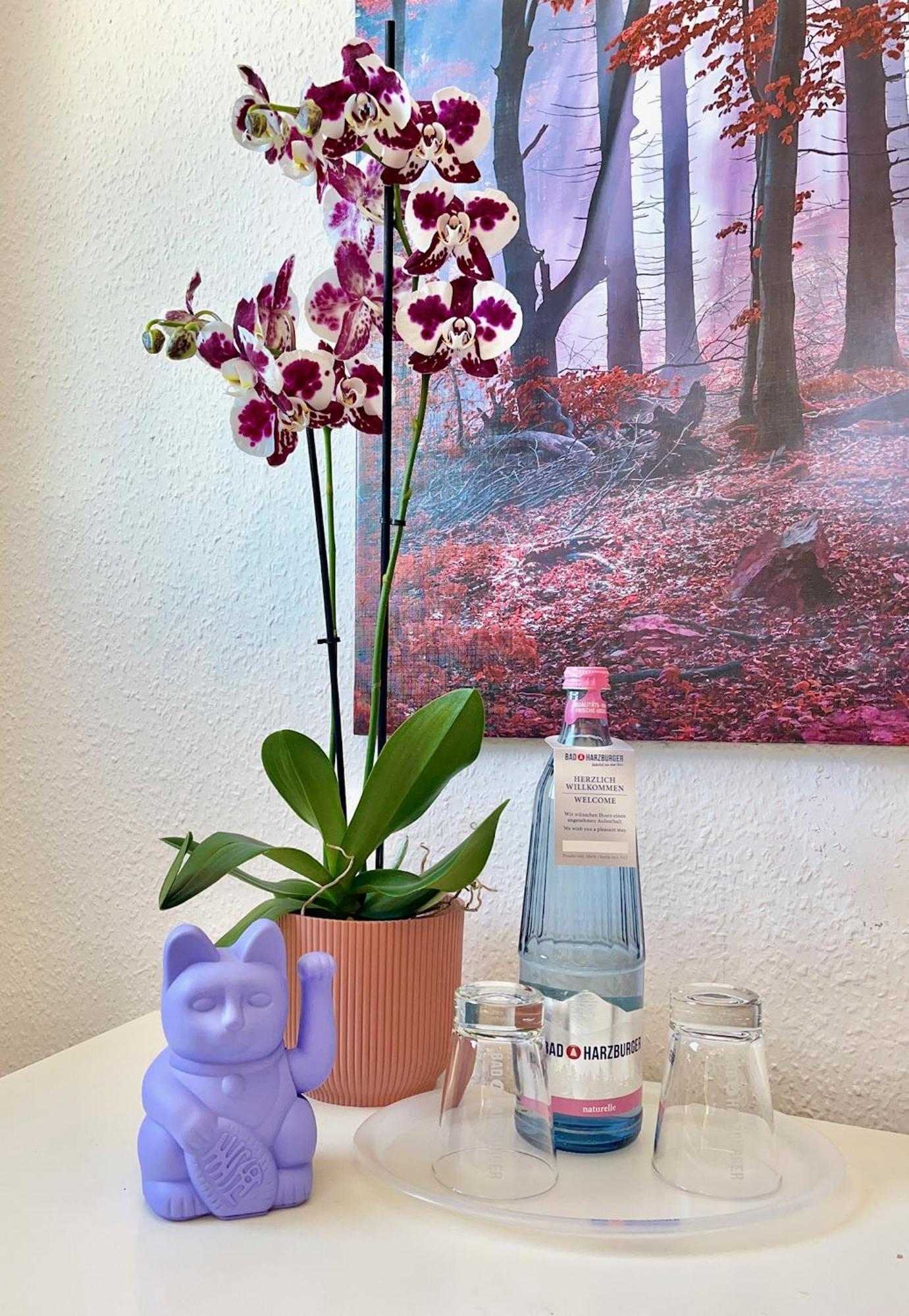 Berghotel Hohegeiß 外观 照片